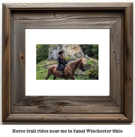 horse trail rides near me in Canal Winchester, Ohio